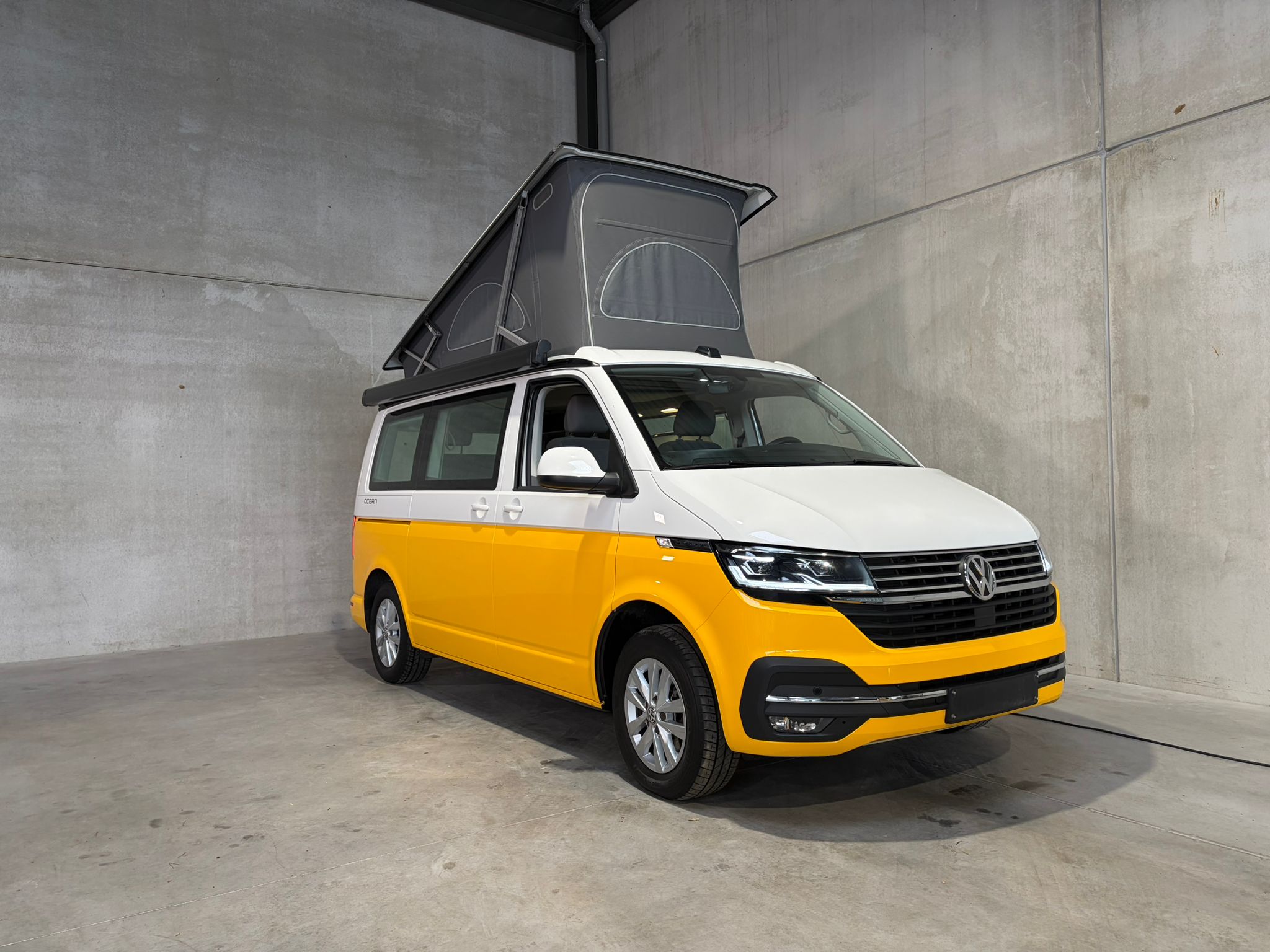 PHOTO-2026-02-05-11-12-20 4